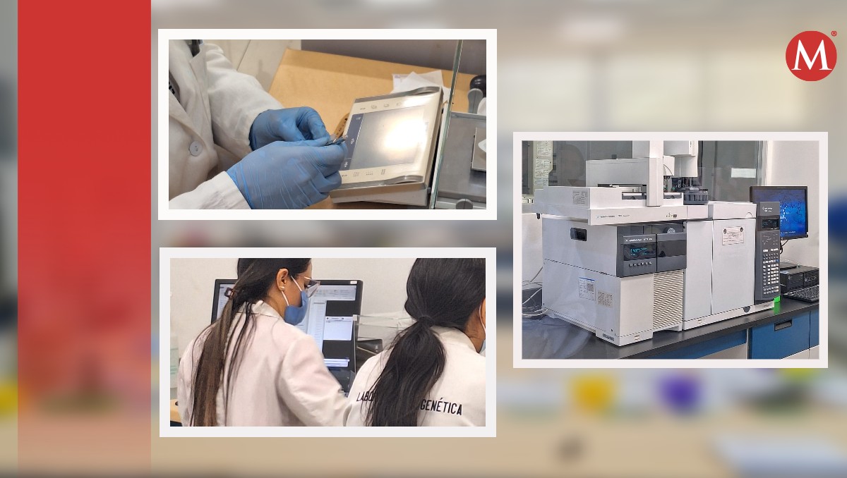 Unidad de Servicios de Investigación Científica