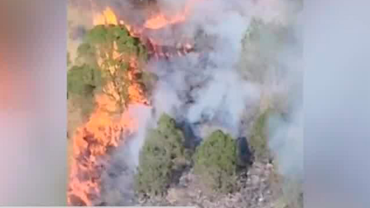 Autoridades controlan incendios forestales en Querétaro
