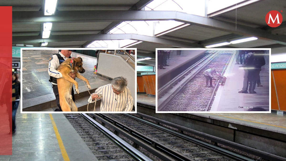 El Metro buscará un nuevo hogar para el perro | Especial