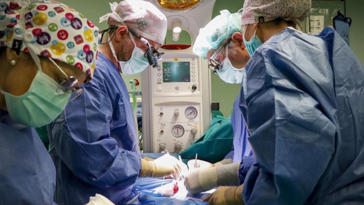 Éxito médico en Valencia: Salvan a bebé con cirugía prenatal de tumor cardiaco