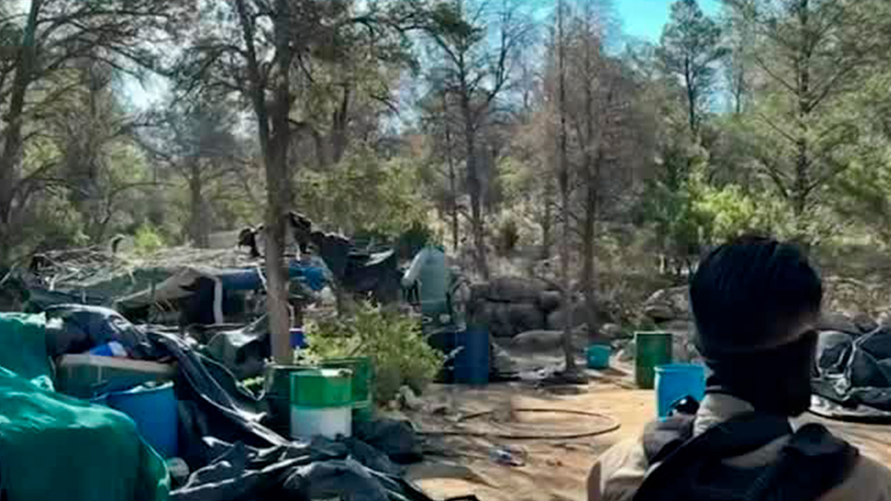 La nueva guardia de la Unión Tepito; la creciente preocupación de las autoridades capitalinas