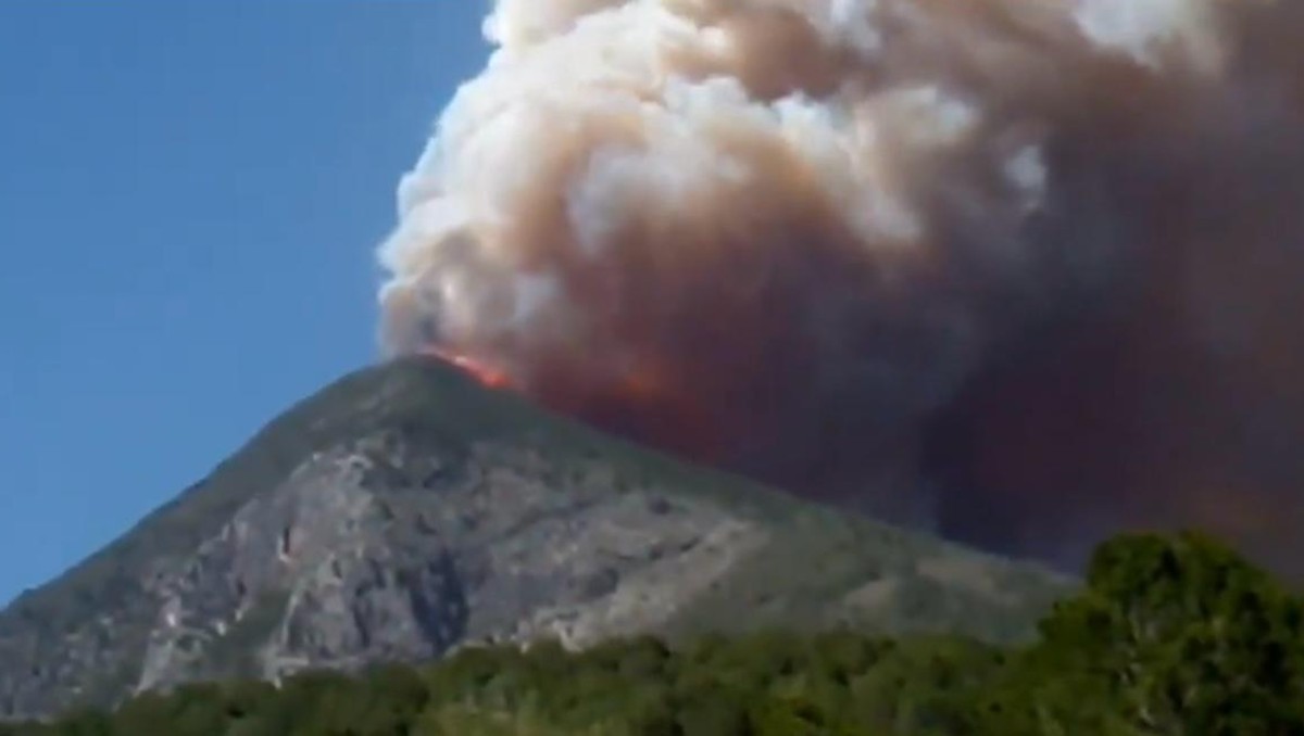 Incendio forestal en cerro de la comunidad El Muerto, en Zaragoza, NL.