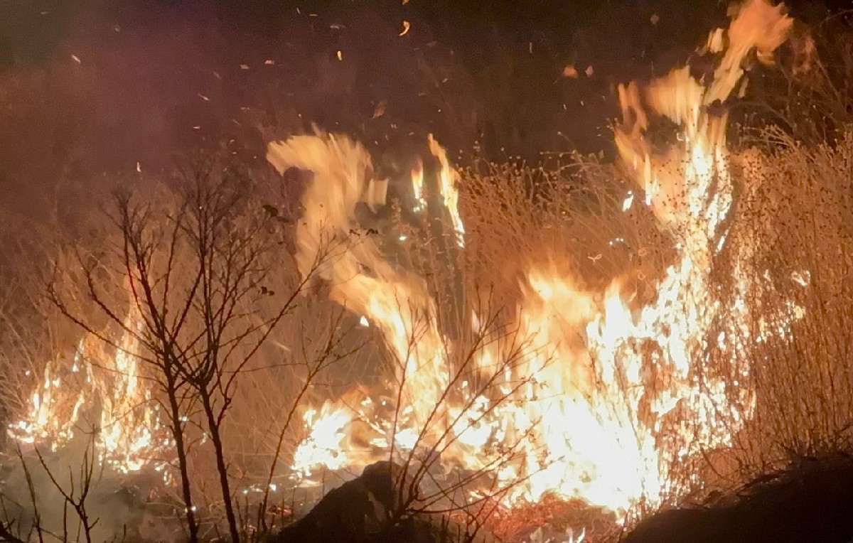 Incendio sofocado en Atizapán (Foto: Fernando Cruz)