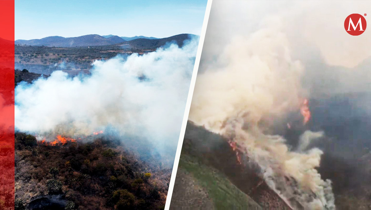 Incendios forestales en Tepeji del Río y Nicolás Flores, Hidalgo