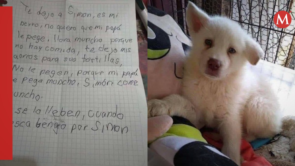 Niño deja a su perrito en albergue