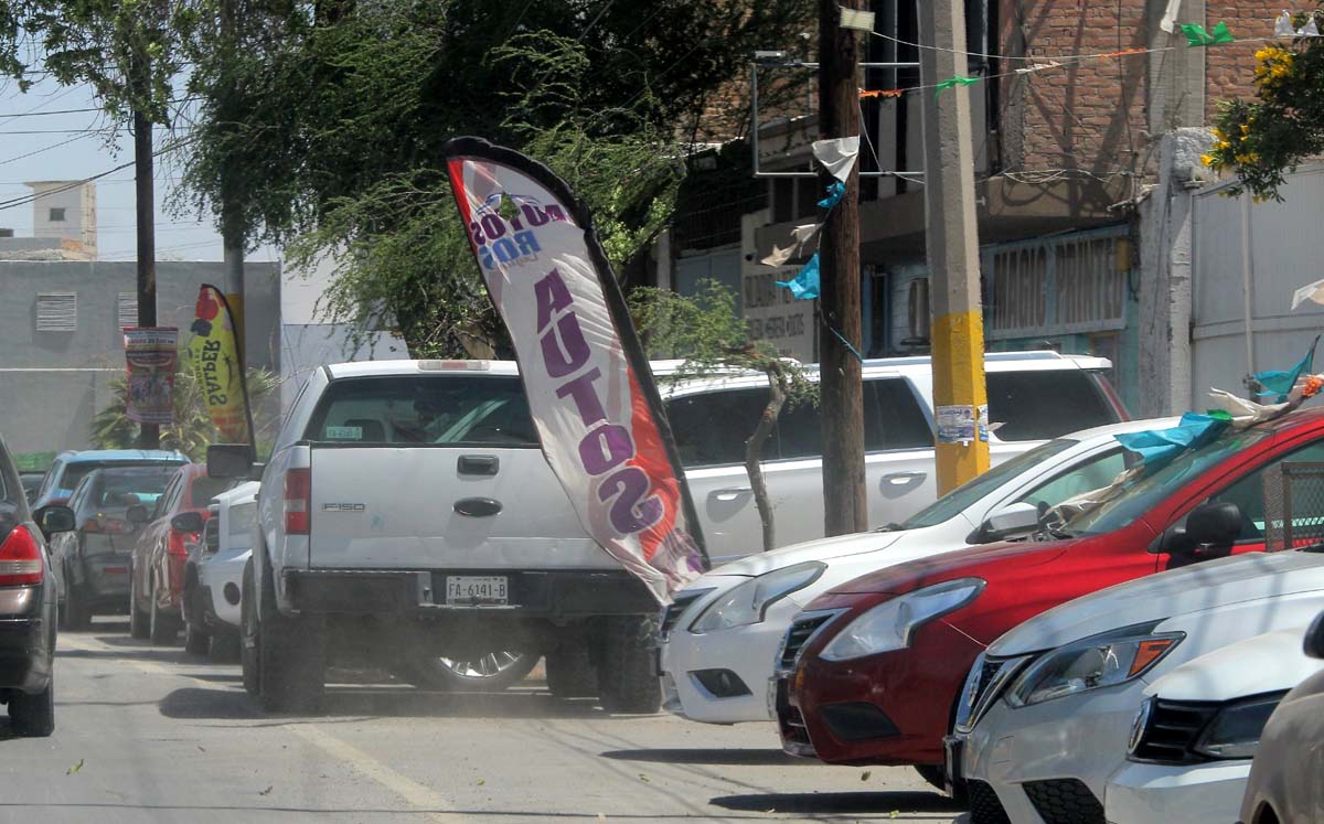 Ráfagas de viento en La Laguna. l Roberto Amaya