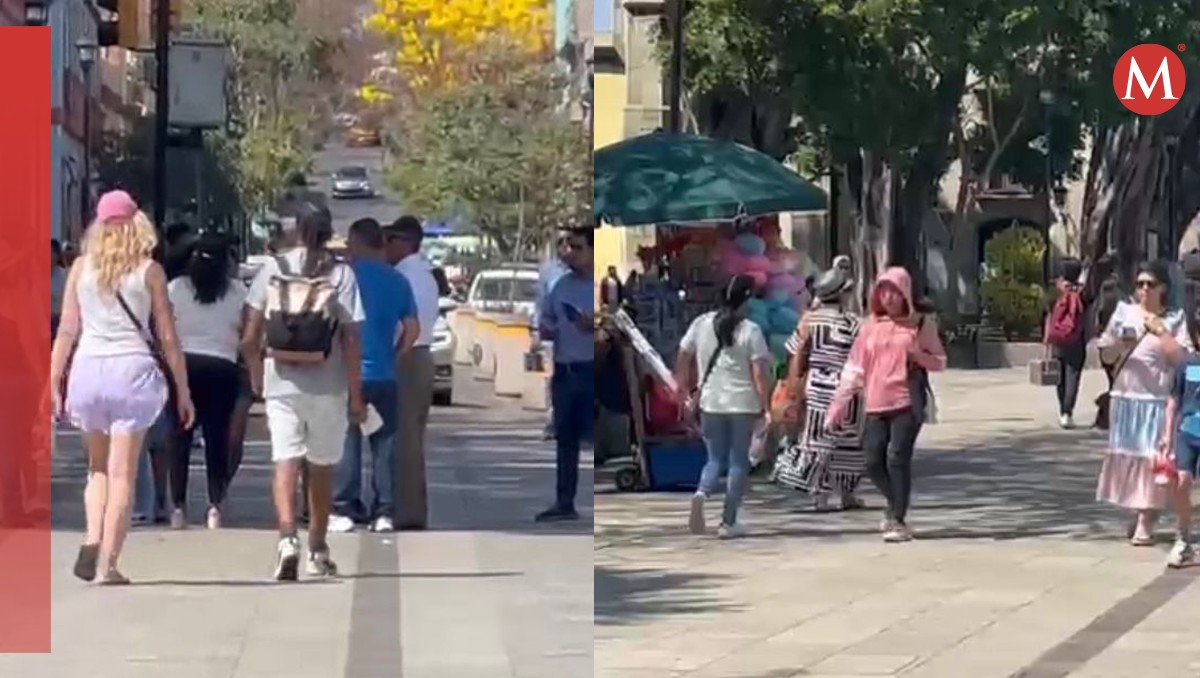 Desafío de dengue en Oaxaca: Aumento de casos y resistencia del mosquito | Especial
