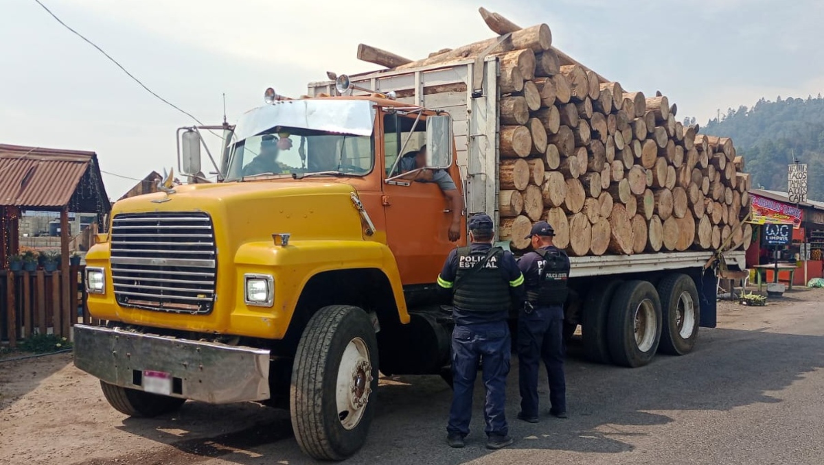 Identifican transporte cargado con madera ilegal. Foto: (Especial)