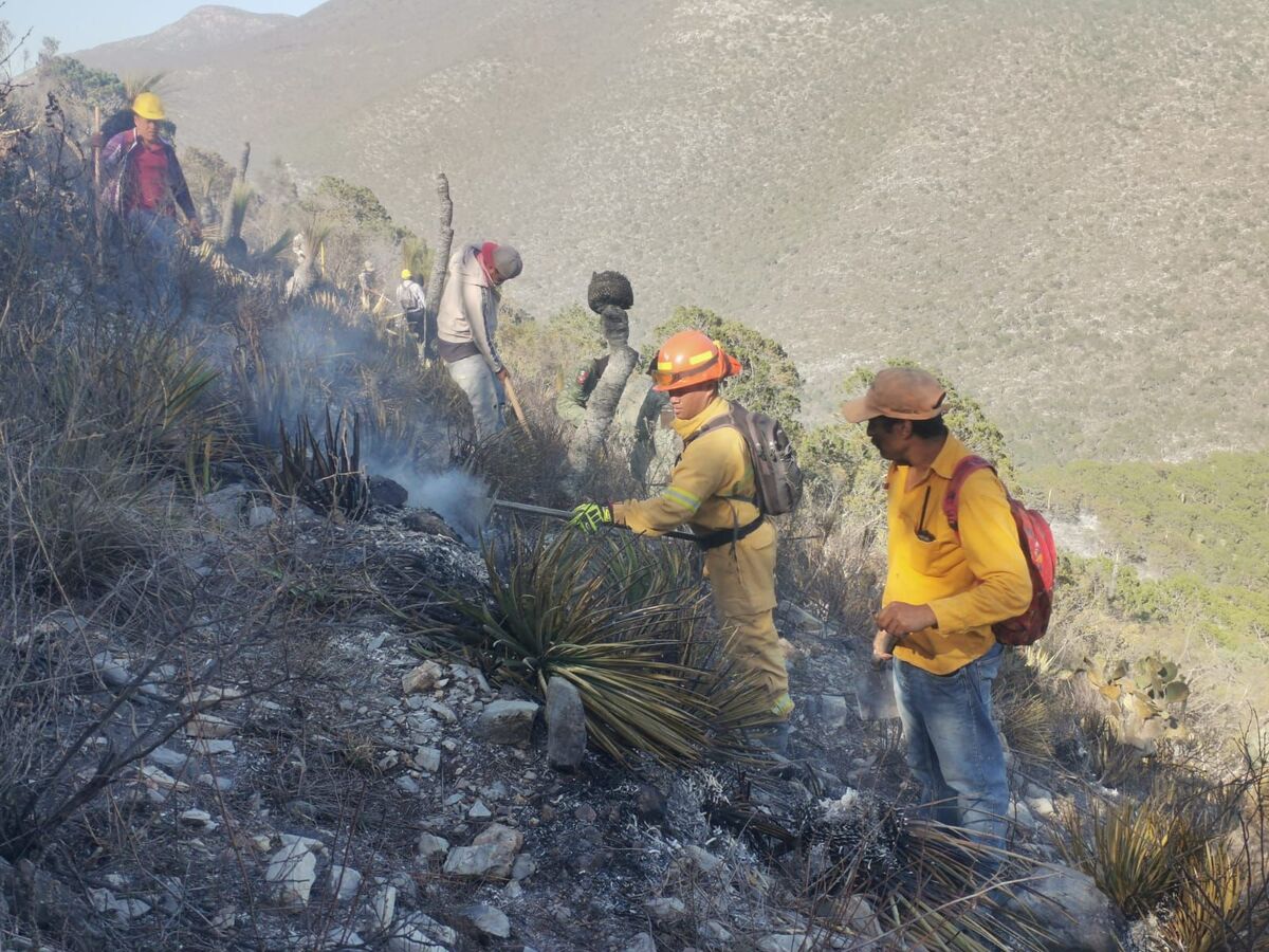 Incendio en Zaragoza NL ha consumido 80 hectáreas de vegetación. Foto: Especial