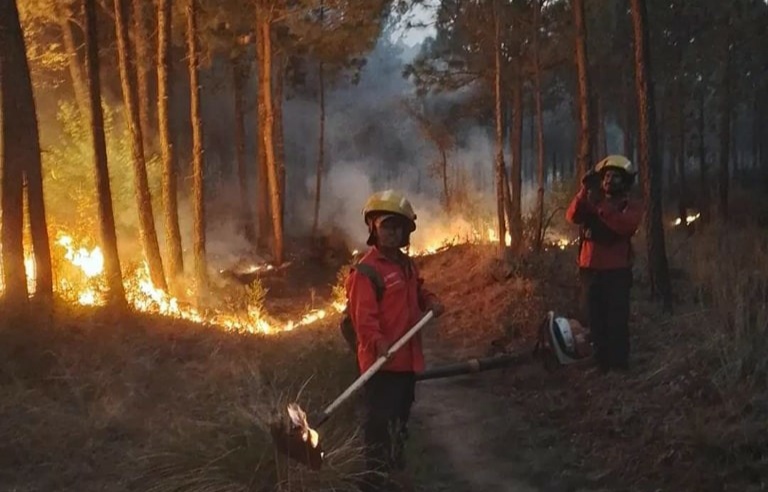 Incendios en Hidalgo se han presentado en 10 municipios.