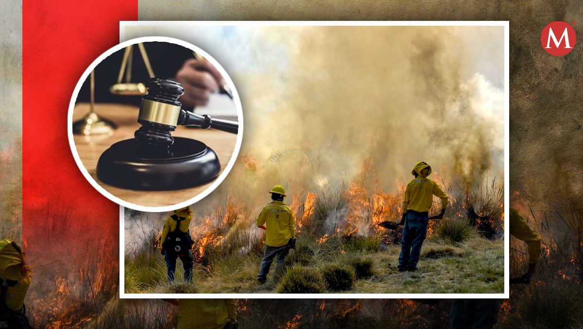 Los incendios forestales son castigados por la ley en el Estado de México. | Cuartoscuro