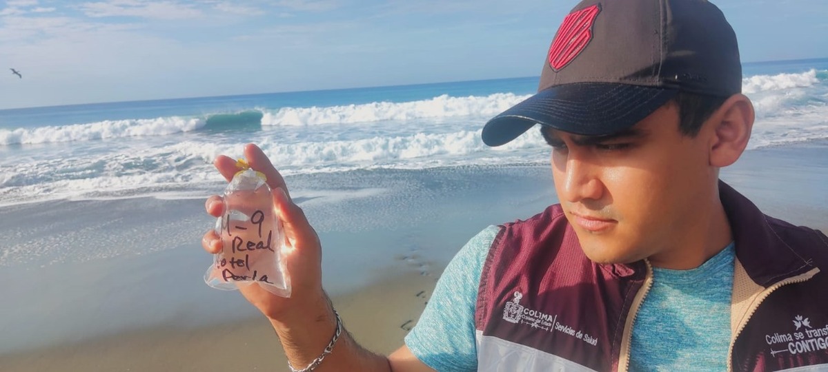 Las 13 playas más concurridas de Colima son seguras para visitantes [Foto: Especial]