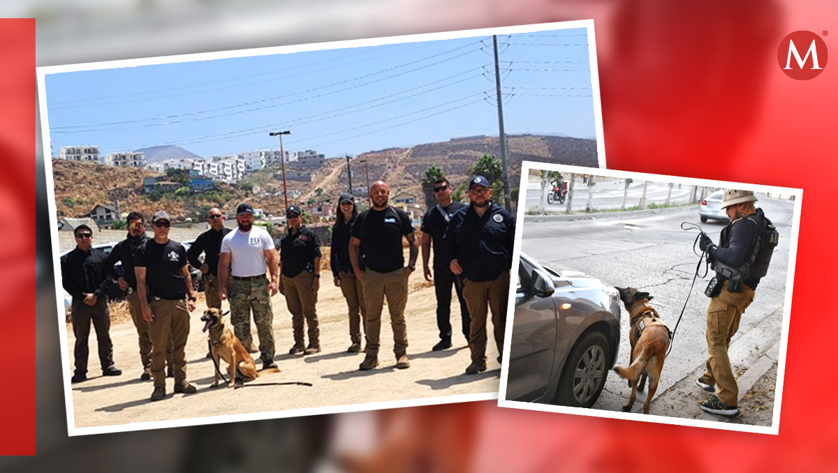 Unidad Canina de la Fiscalía de Guerrero.