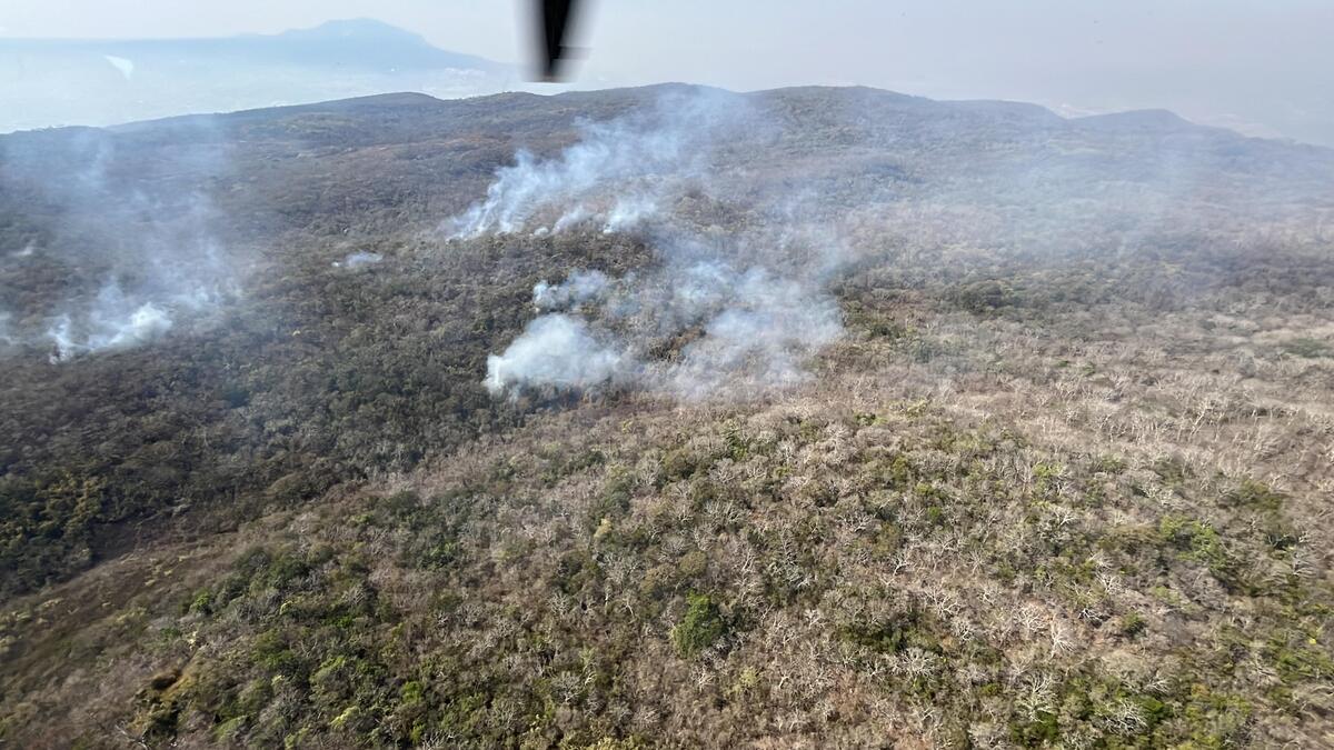 Chiapas lucha contra 14 incendios forestales | Especial