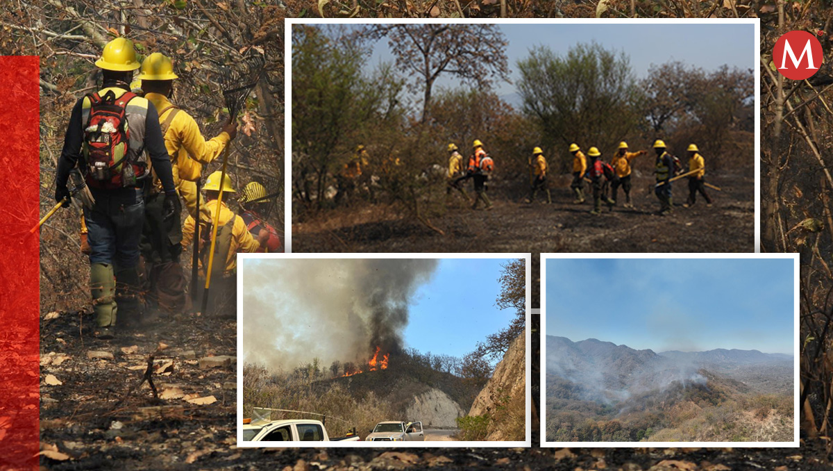 Combatientes de incendios se unen en Colima para contener el fuego en San José de Lumber | Especial | Diseño: Mauricio Ledesma