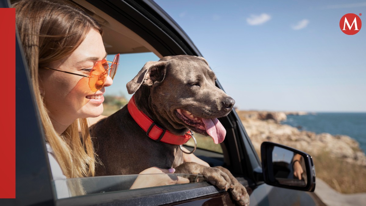 Consejos para viajar con tu mascota esta temporada de vacaciones
