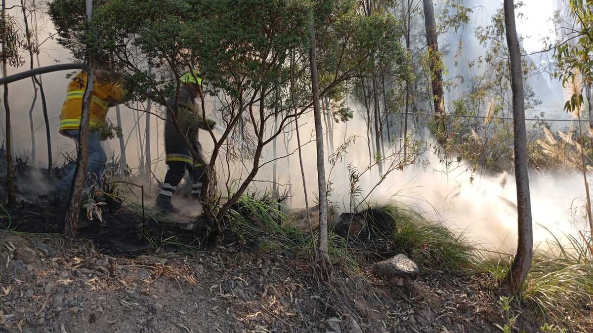 Incendio frente a parque La Mexicana.