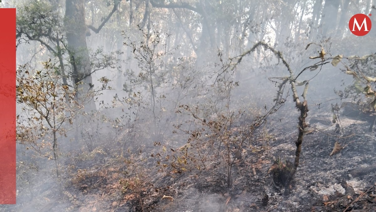 Sofocan incendio en Cerro Zapotecas; tres continúan activos en Puebla | Especial
