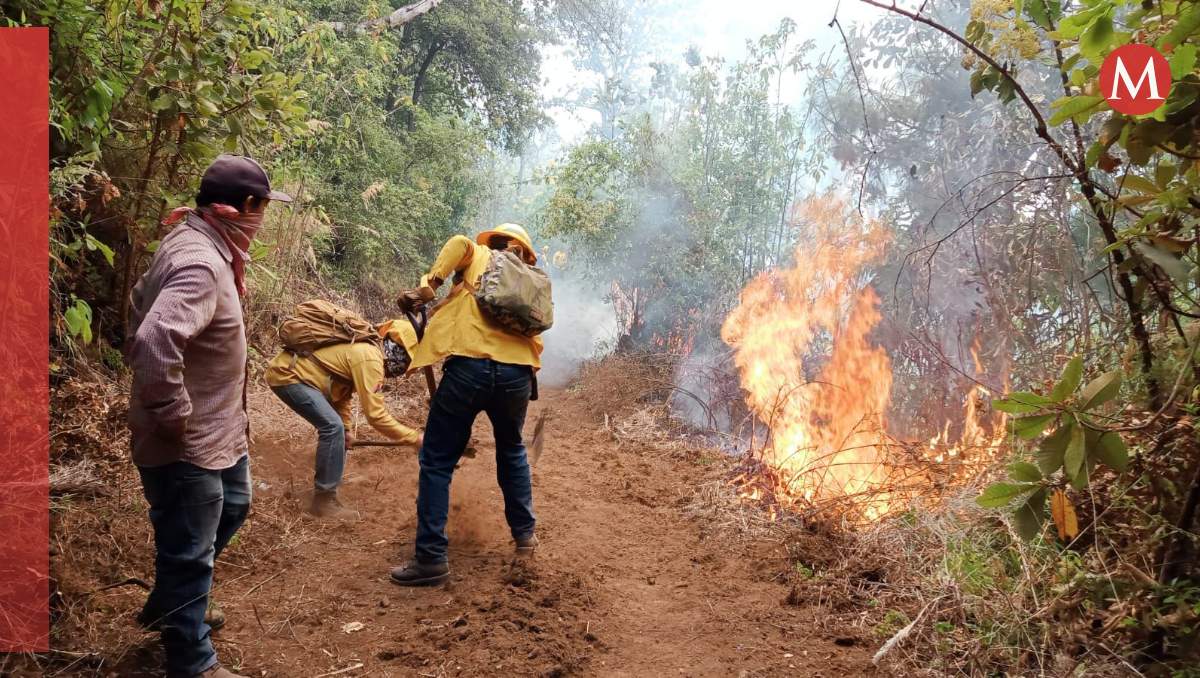 Suman ya 5 brigadistas fallecidos en Edomex| Foto: Especial