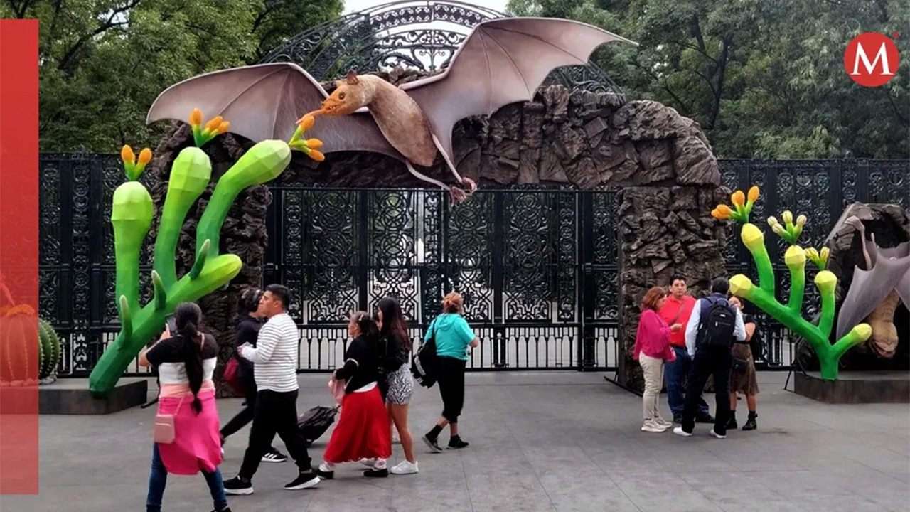Conoce sobre el festival más grande del mundo para festejar a los murciélagos en Chapultepec