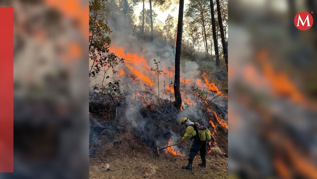 Incendio en 'País de la Monarca', en Michoacán | Especial