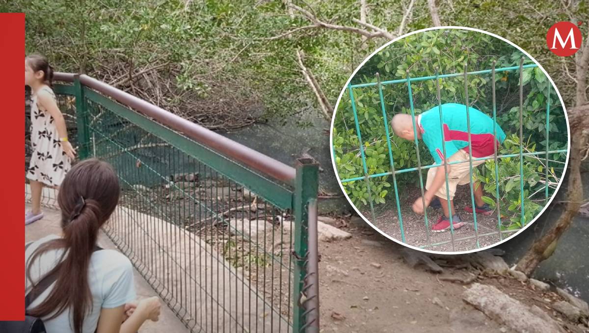 Ingresan a zona de cocodrilos en laguna del Carpintero en Tampico.