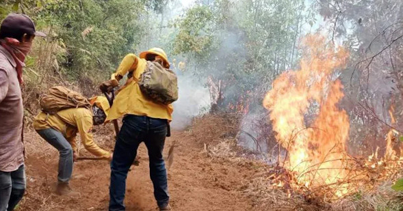 Muere otro brigadista en incendio en Edomex, registran 5 en menos de una semana