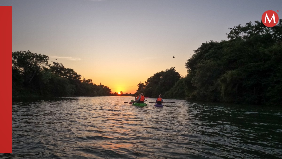Paseos en kayak. (South Coast Tampico)