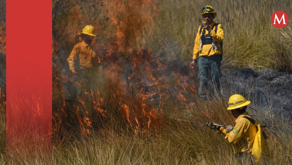 Personal de la Conafor, así como brigadistas trabajan en apagar los incendios. | Cuartoscuro