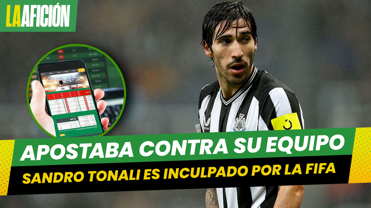 Sandro Tonali, jugador del Newcastle, es inculpado por 50 apuestas ilegales