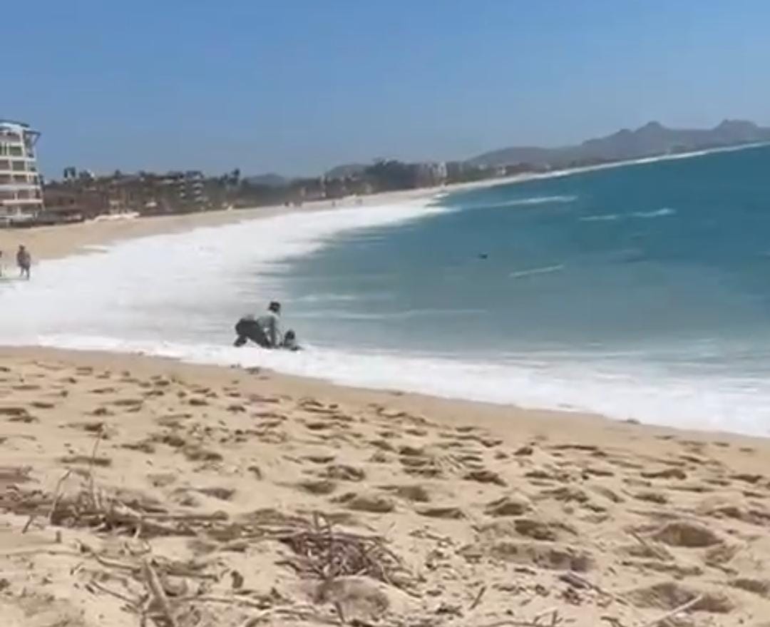 Baja California Sur.