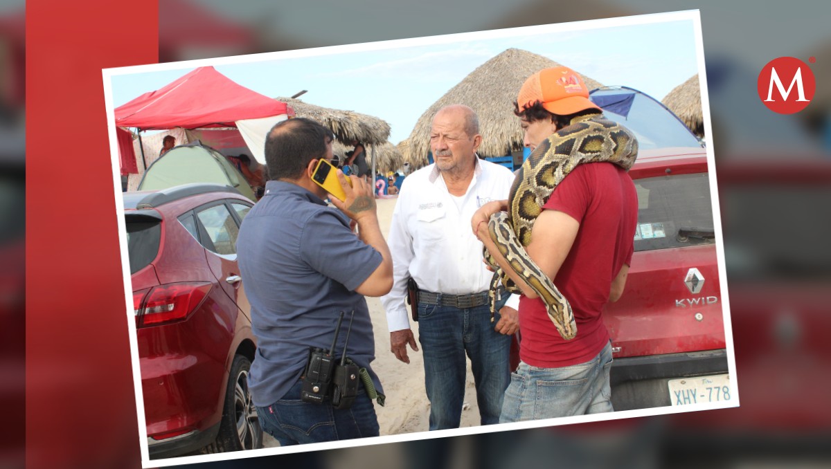 Impiden que joven lucre con boa constrictor en playa Miramar