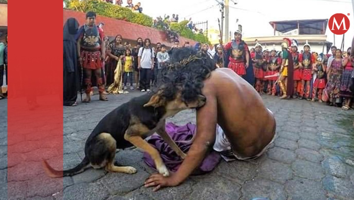 Perrito consuela a actor de Jesús: Viacrucis Pasión de Cristo