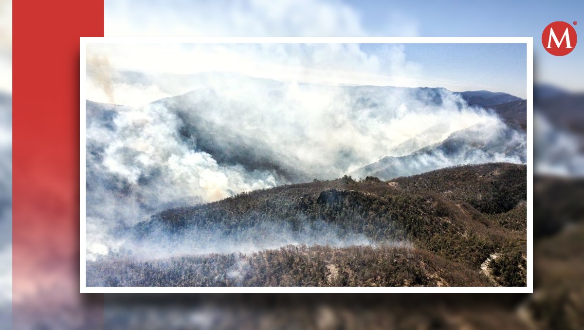 Incendio en la Sierra de Santa Rosa en Guanajuato es extinguido | Especial