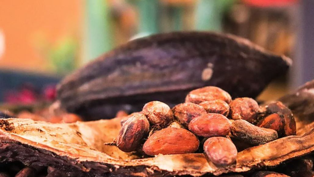 Precio del cacao 'se dispara' 125% en menos de tres meses