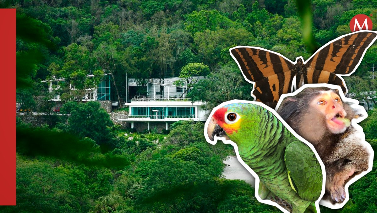 Centro Interpretativo Ecológico Gómez Farías. (Especial)