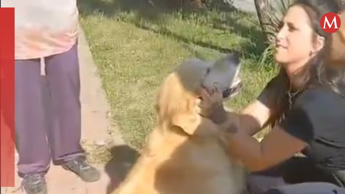 El perro Tobías será dado en adopción tras ser rescatado. | Especial