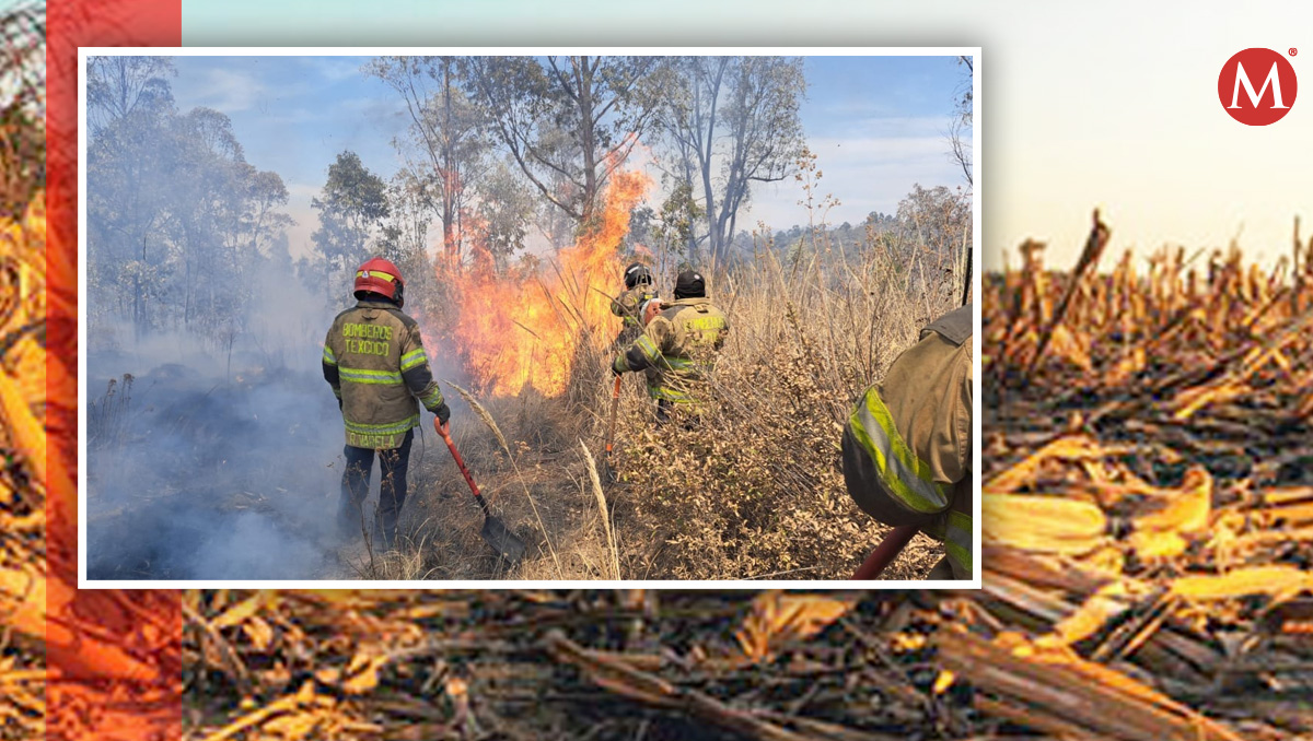 En 2022 más del 20% de los incendios forestales fueron provocados por la quema agropecuaria (Diseño: Mauricio Ledesma).