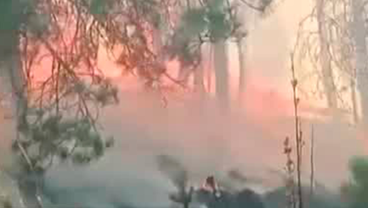 Cierran acceso al Nevado de Toluca ante incendios forestales