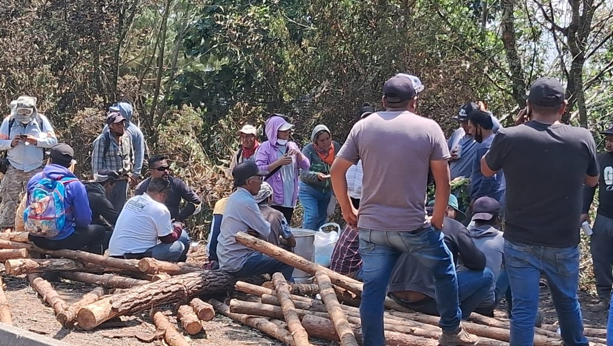 Desesperación en Veracruz por incendios que dejan a comunidades sin medios de subsistencia | Especial