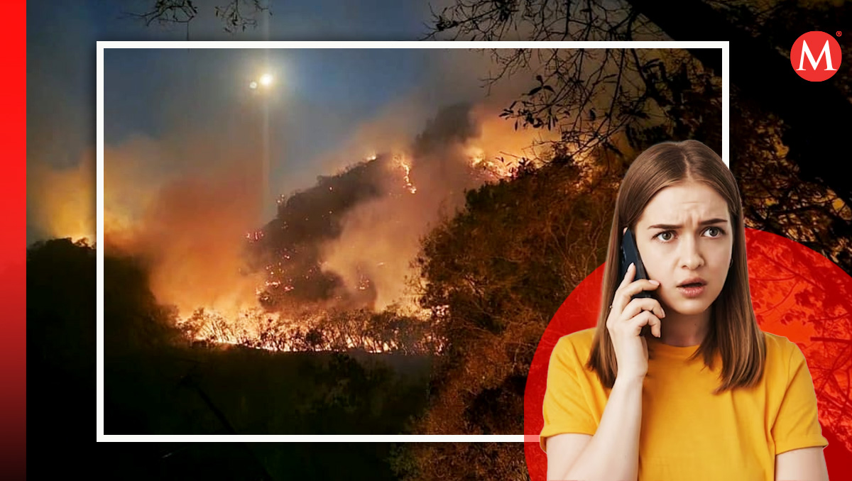 Reporta incendios forestales en Edomex. Foto: (Milenio)