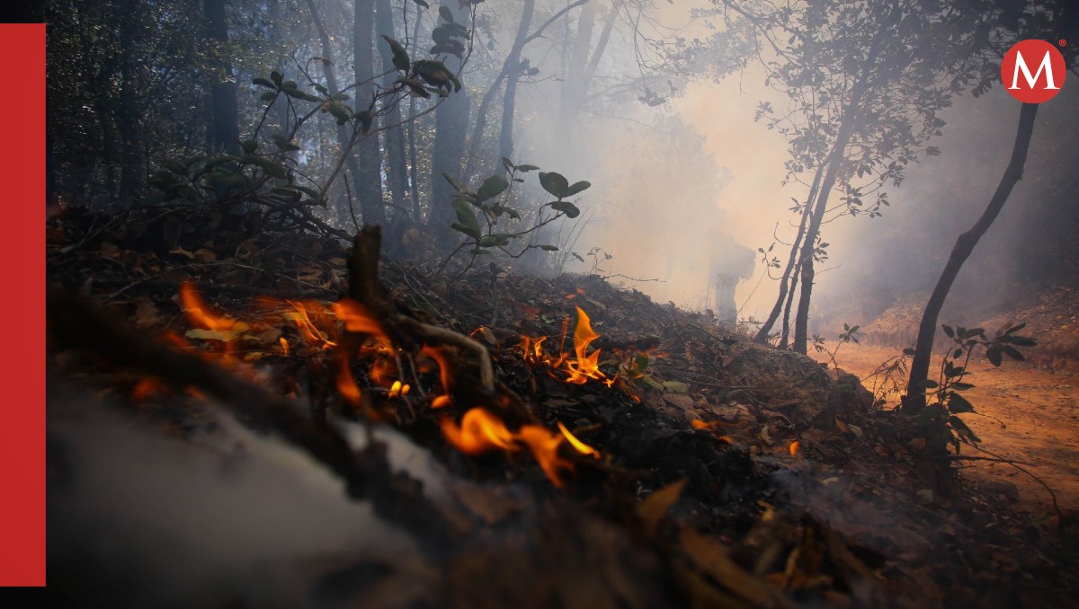 Se han reportado múltiples incendios en más de la mitad del país | Foto: JORGE ORTEGA