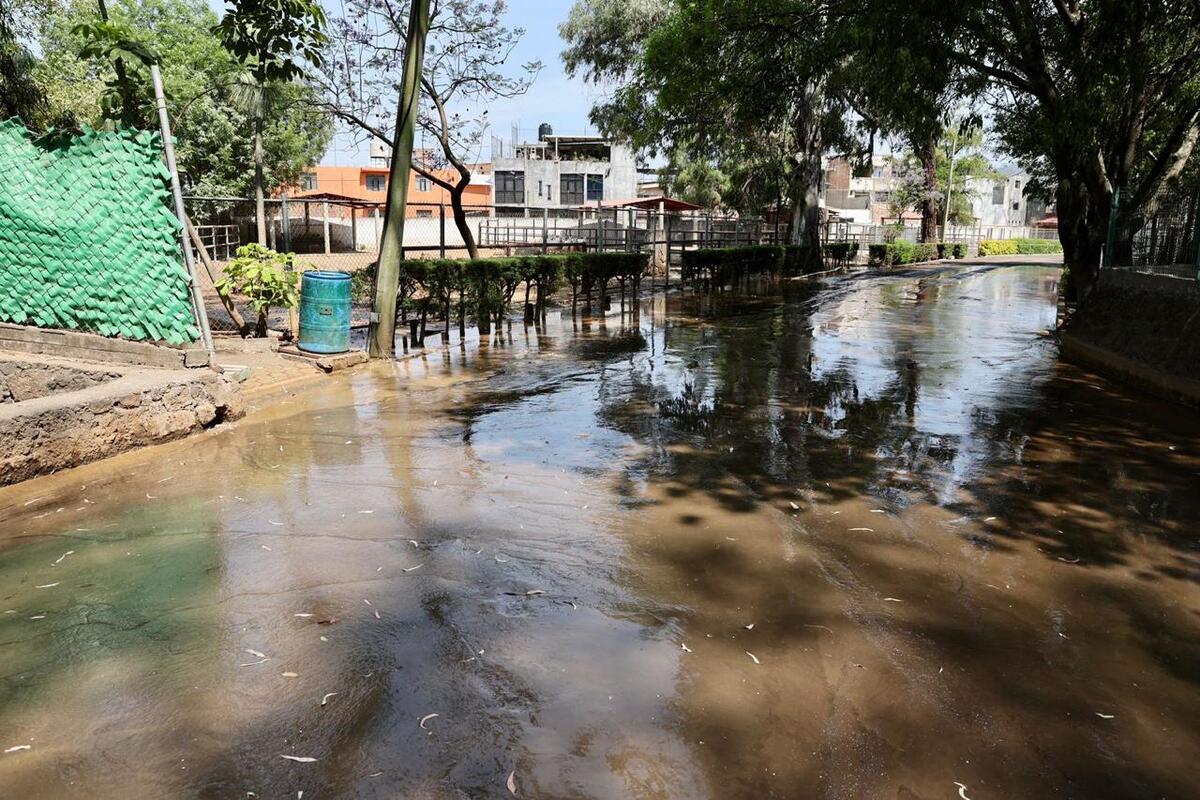 Animales del Zoo de Morelia en peligro por agua contaminada vertida por el OOAPAS [Foto: Especial]
