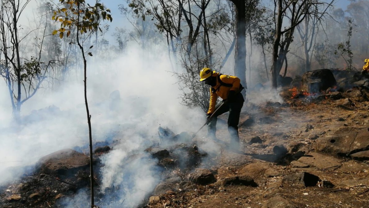 Elementos de seguridad y protección combaten incendio forestal. Foto: (Especial)