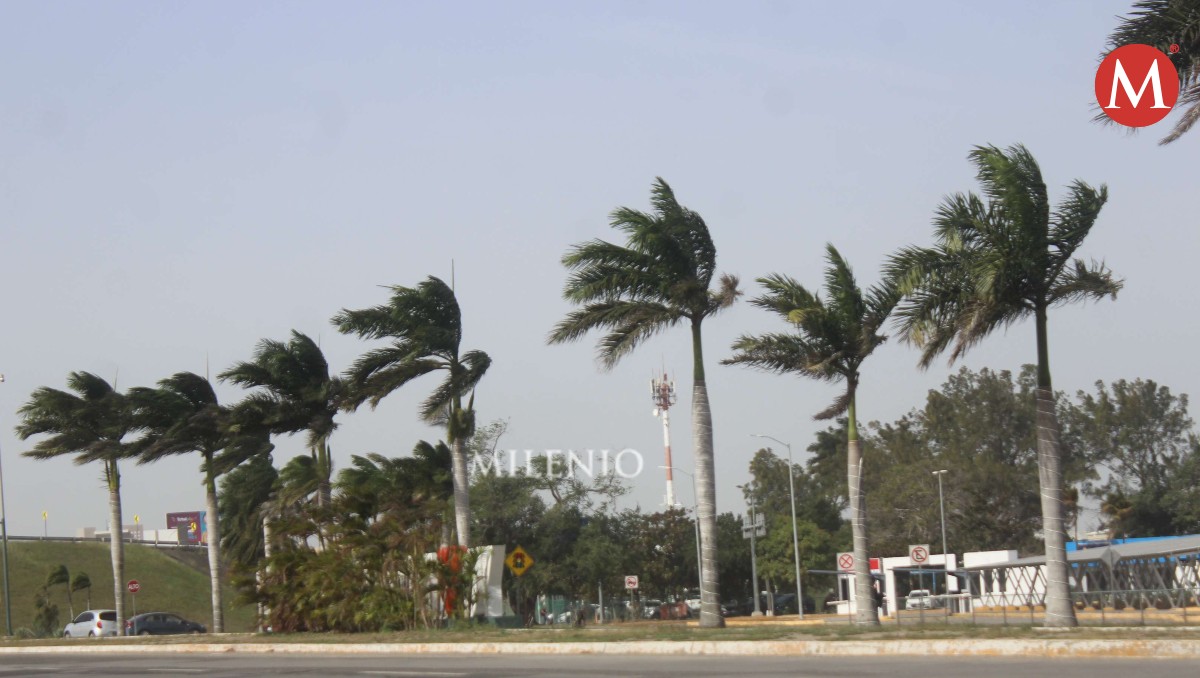 Fuertes rachas de viento derriban anuncios en Tampico.