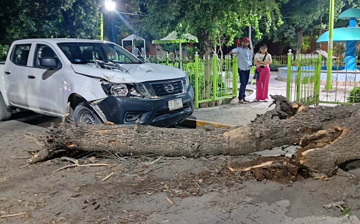 Los hechos dejaron cuantiosos daños. l Especial