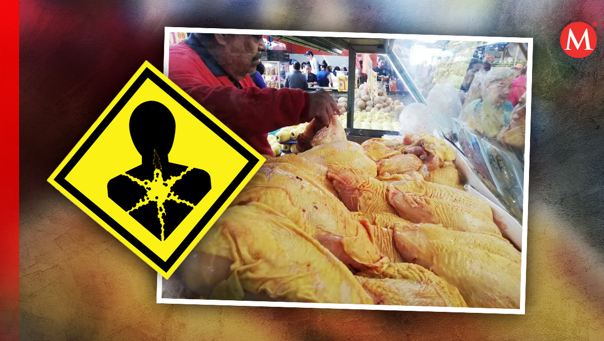 Pollos con sustancias cancerígenas en Edomex. Foto: (Milenio)