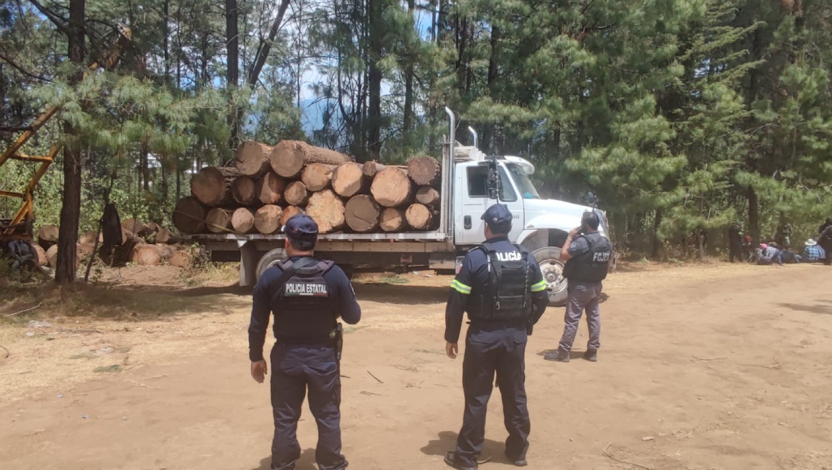 Autoridades retienen camión con madera ilegal. Foto: (Especial)