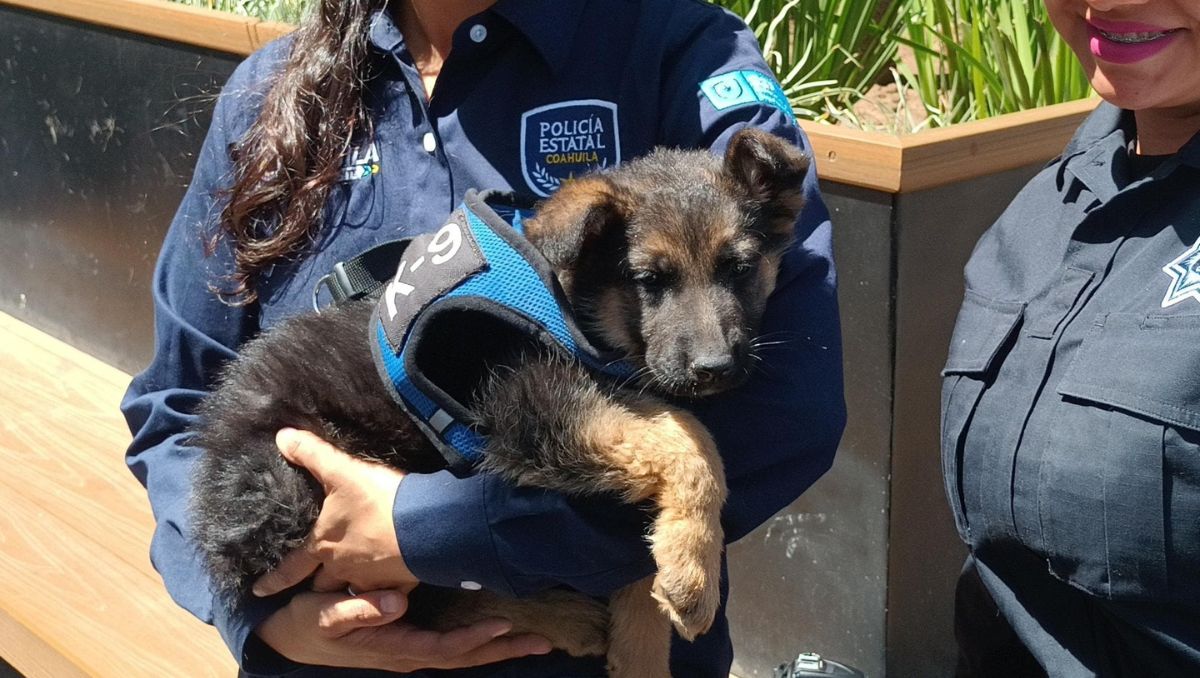 Nueva cadete del escuadrón K-9 en Saltillo, Coahula. | Especial
