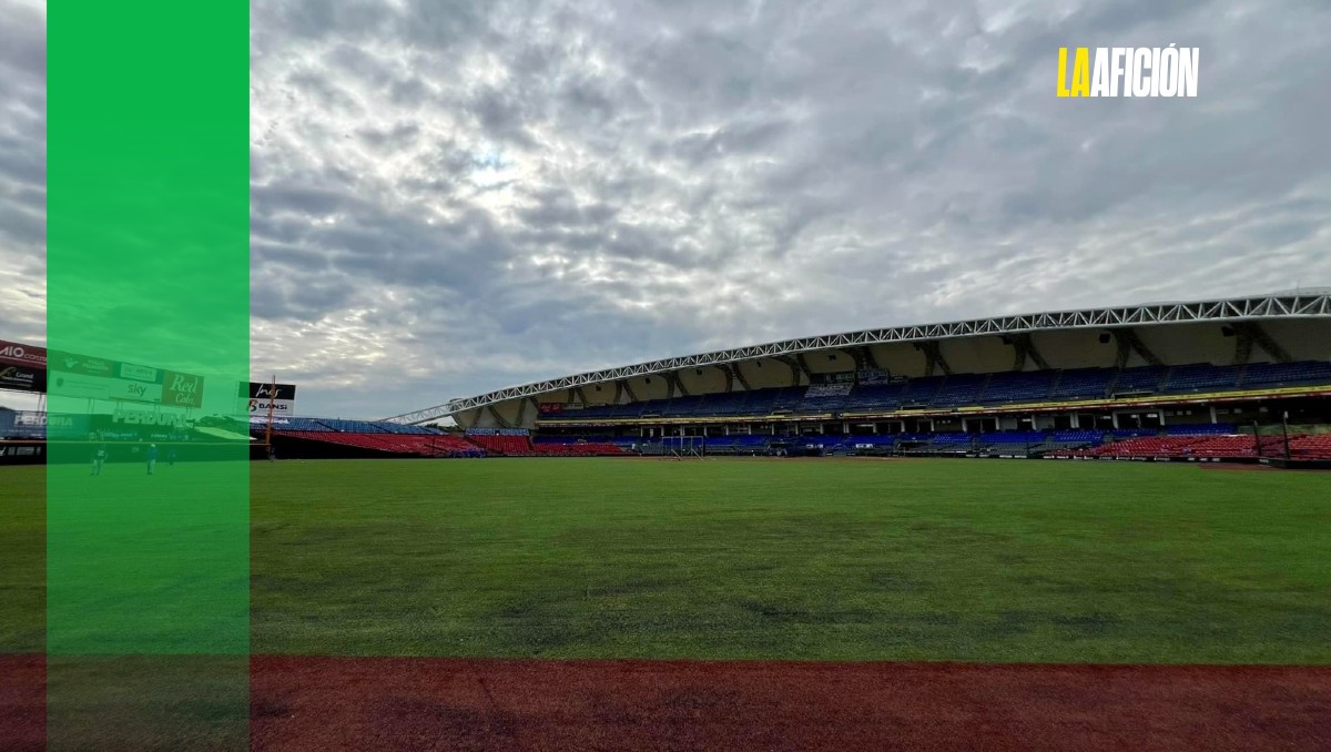 Césped del Estadio Panamericano, con el tiempo contado; necesitará una pronta renovación (Cortesía)